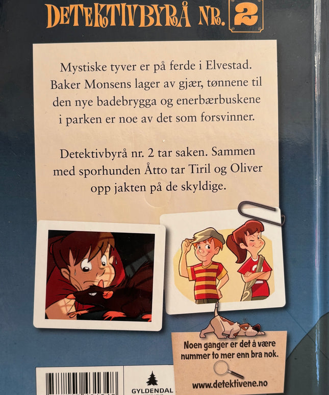 Lier Horst, Jørn: Operasjon tordensky