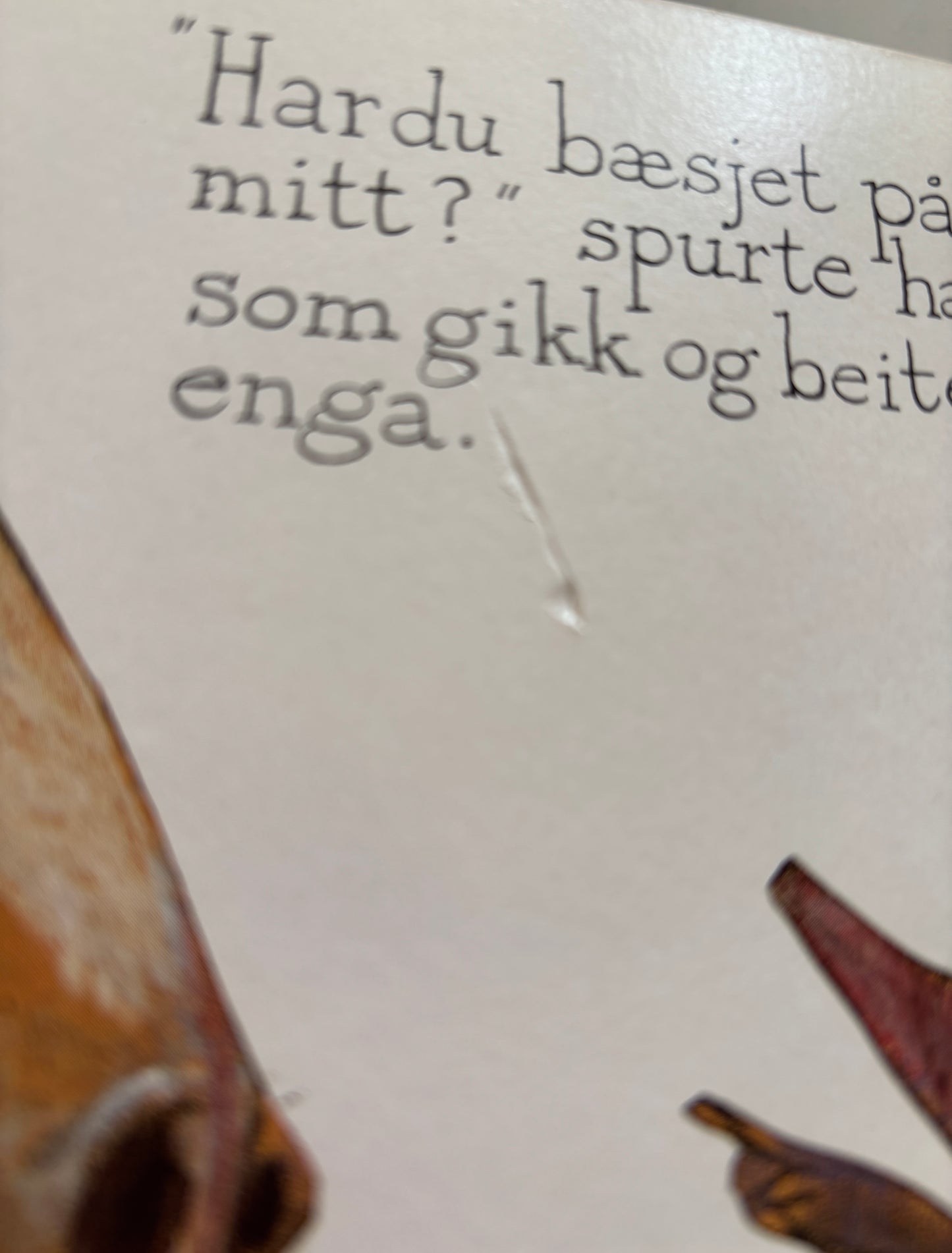 Holzwarth, Werner: Den lille muldvarpen som ville vite hvem som hadde bæsjet på hodet hans.