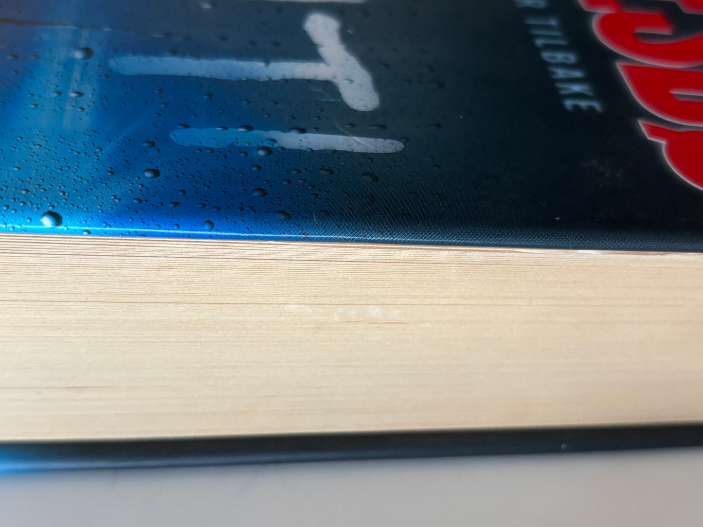 Nesbø, Jo: Politi