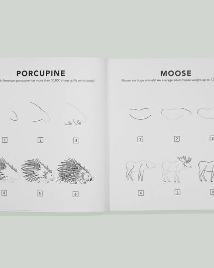 Mushrooms & Woodland Creatures: Kids How to Draw Book
