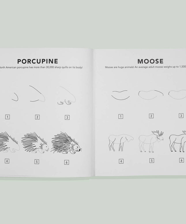 Mushrooms & Woodland Creatures: Kids How to Draw Book