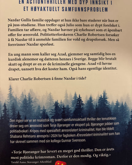 Terje Bjøranger - Den ingen ser (innbundet)