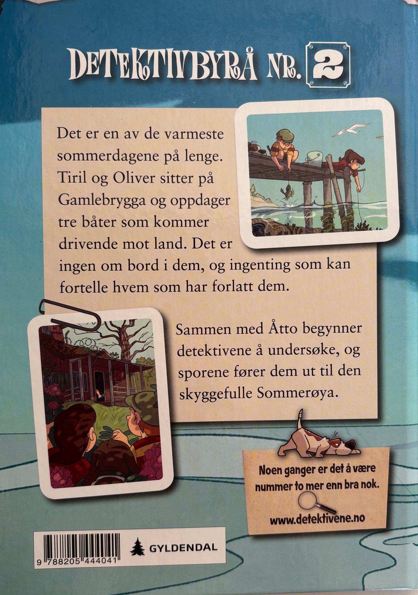 Lier Horst, Jørn: Operasjon sommerøya