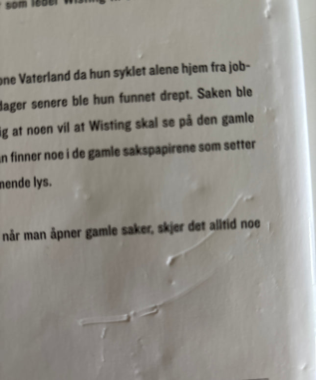 Lier Horst, Jørn: Sak 1569