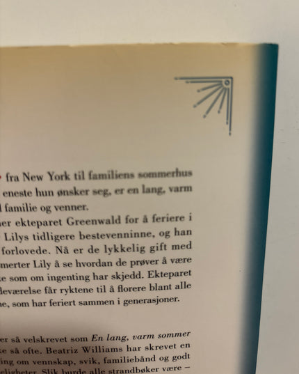 Williams, Beatriz: En lang, varm sommer