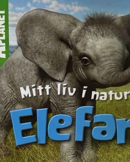 Animal planet - Mitt liv i naturen: Elefant