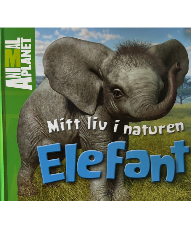 Animal planet - Mitt liv i naturen: Elefant