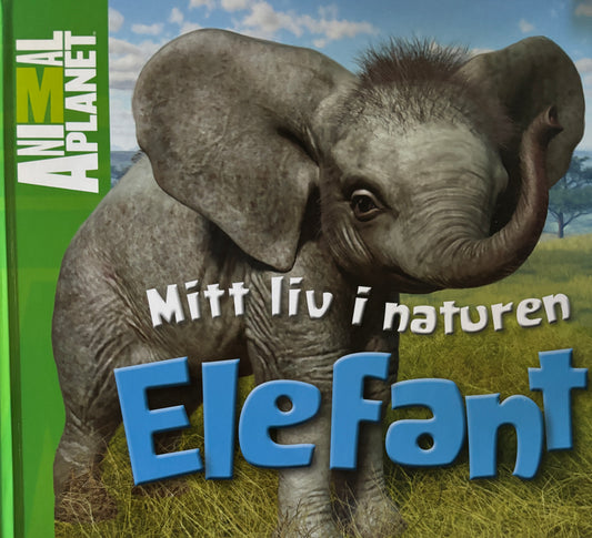 Animal planet - Mitt liv i naturen: Elefant