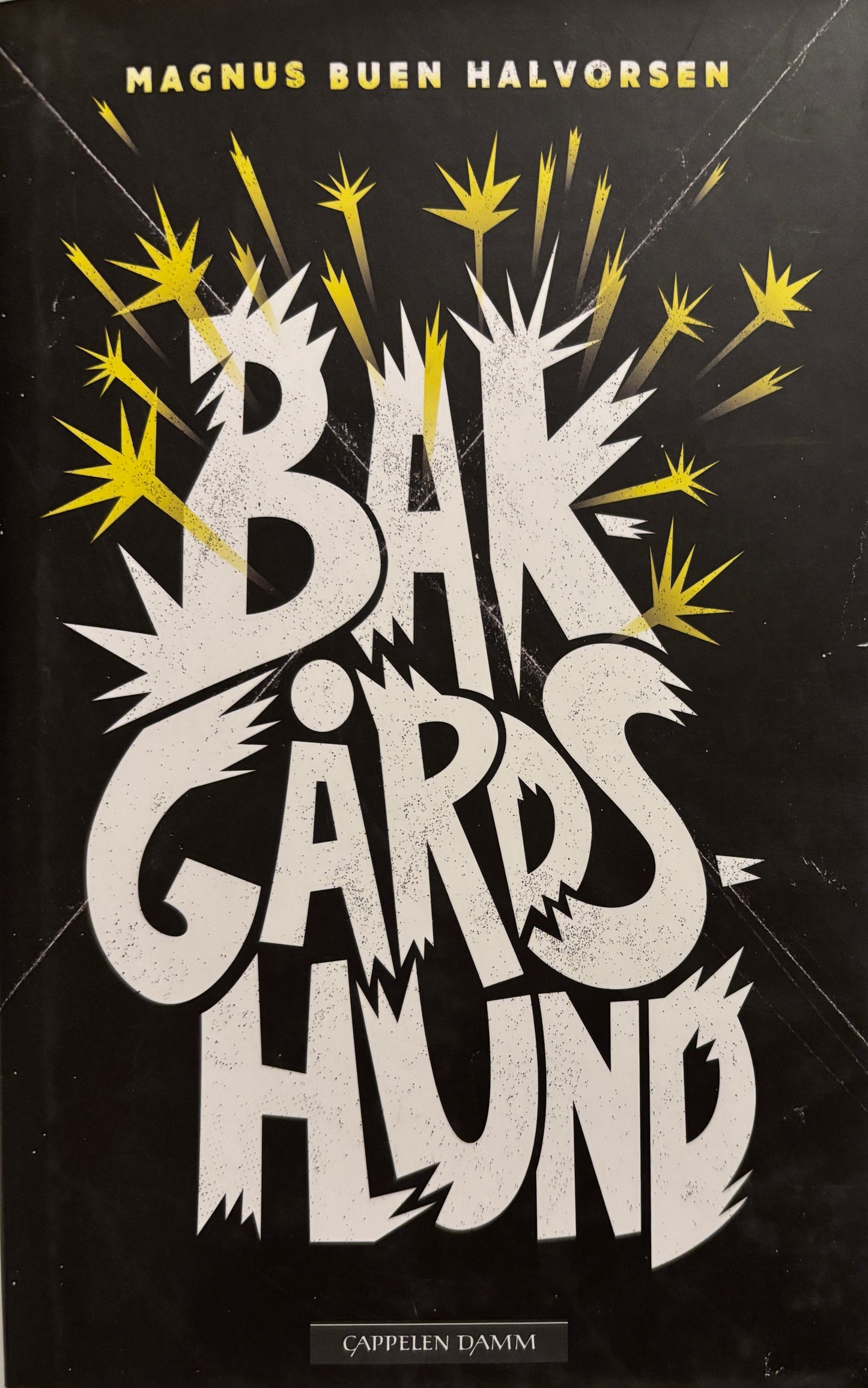 Buen Halvorsen, Magnus: Bakgårdshund