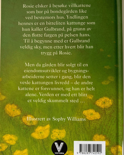 Webb, Holly: Gulbrand, den lille villkatten
