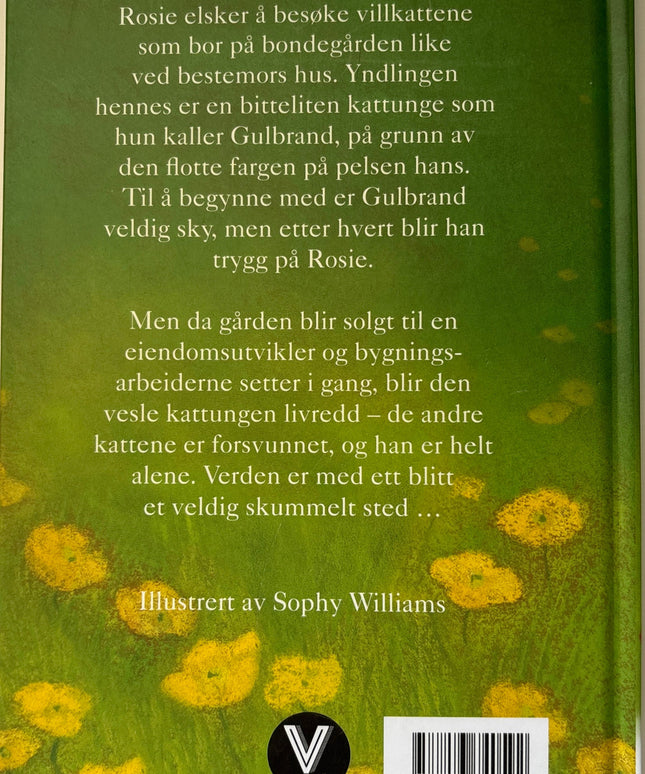 Webb, Holly: Gulbrand, den lille villkatten