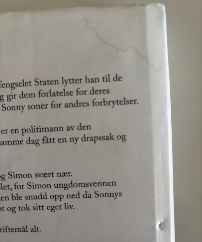 Nesbø, Jo: Sønnen