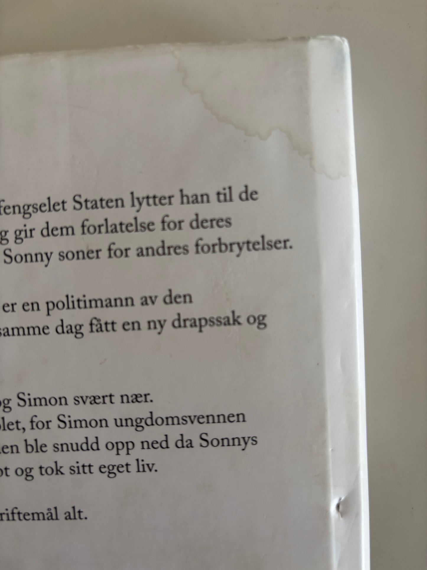 Nesbø, Jo: Sønnen