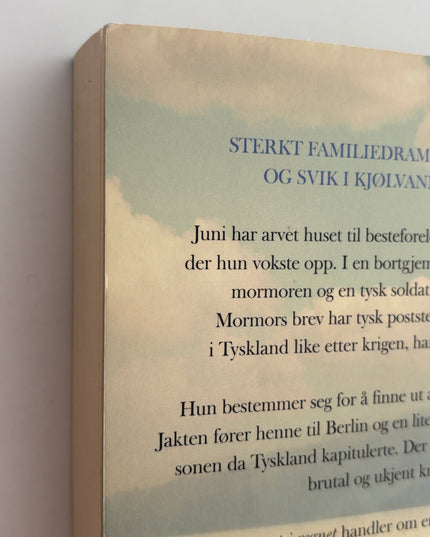 Teige, Trude: Mormor danset i regnet
