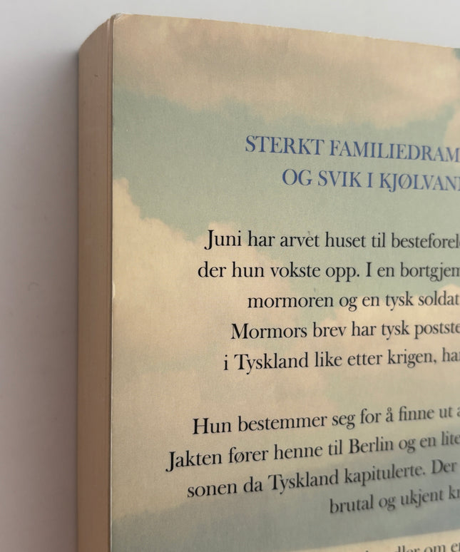 Teige, Trude: Mormor danset i regnet