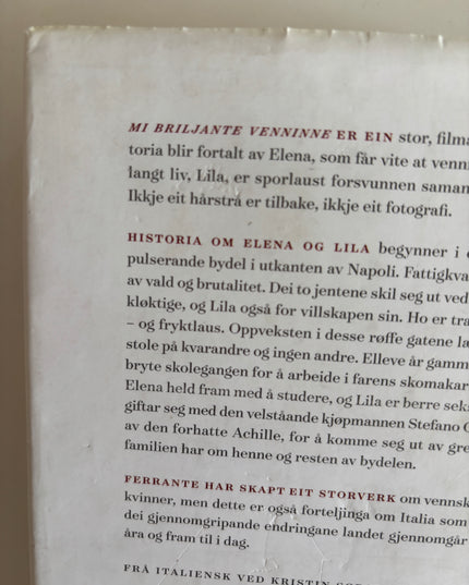 Ferrante, Elena: Mi briljante venninne