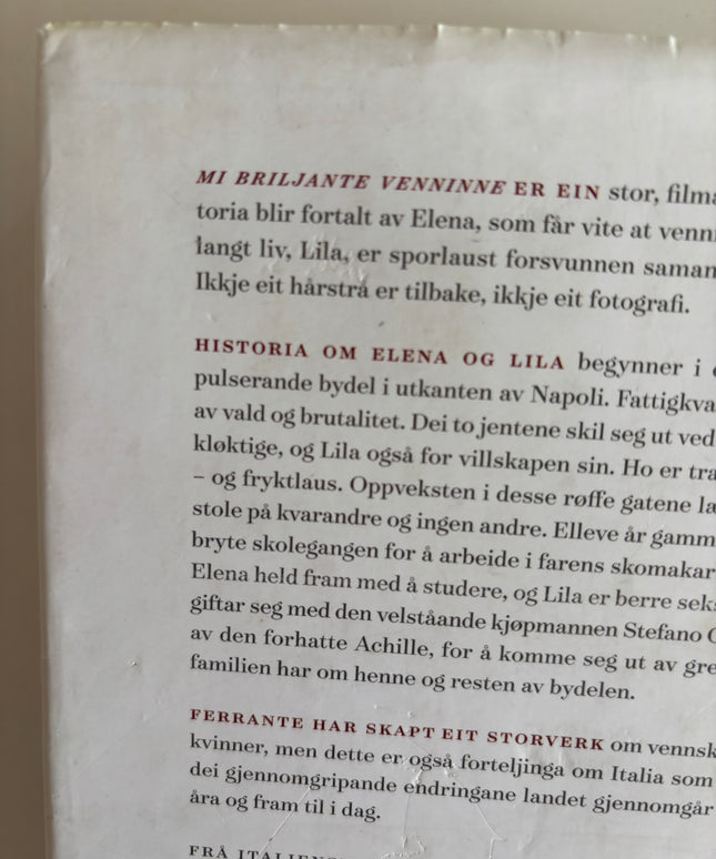Ferrante, Elena: Mi briljante venninne