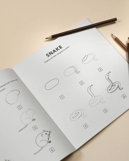 Mushrooms & Woodland Creatures: Kids How to Draw Book