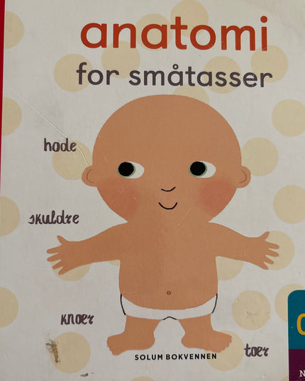 Litton, Jonathan: Anatomi for småtasser