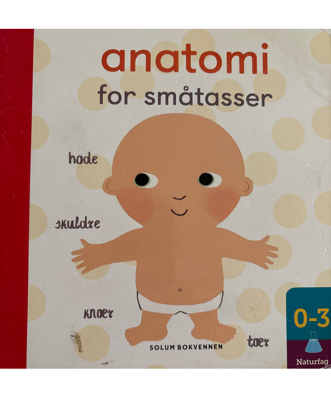 Litton, Jonathan: Anatomi for småtasser
