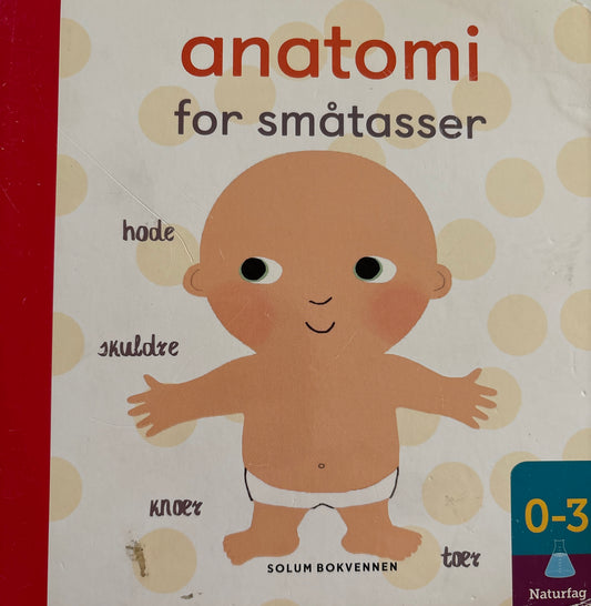 Litton, Jonathan: Anatomi for småtasser