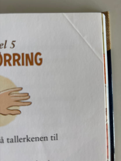 Horst, Jørn Lier: Detektivbyrå nr 2: Operasjon Sjørøver