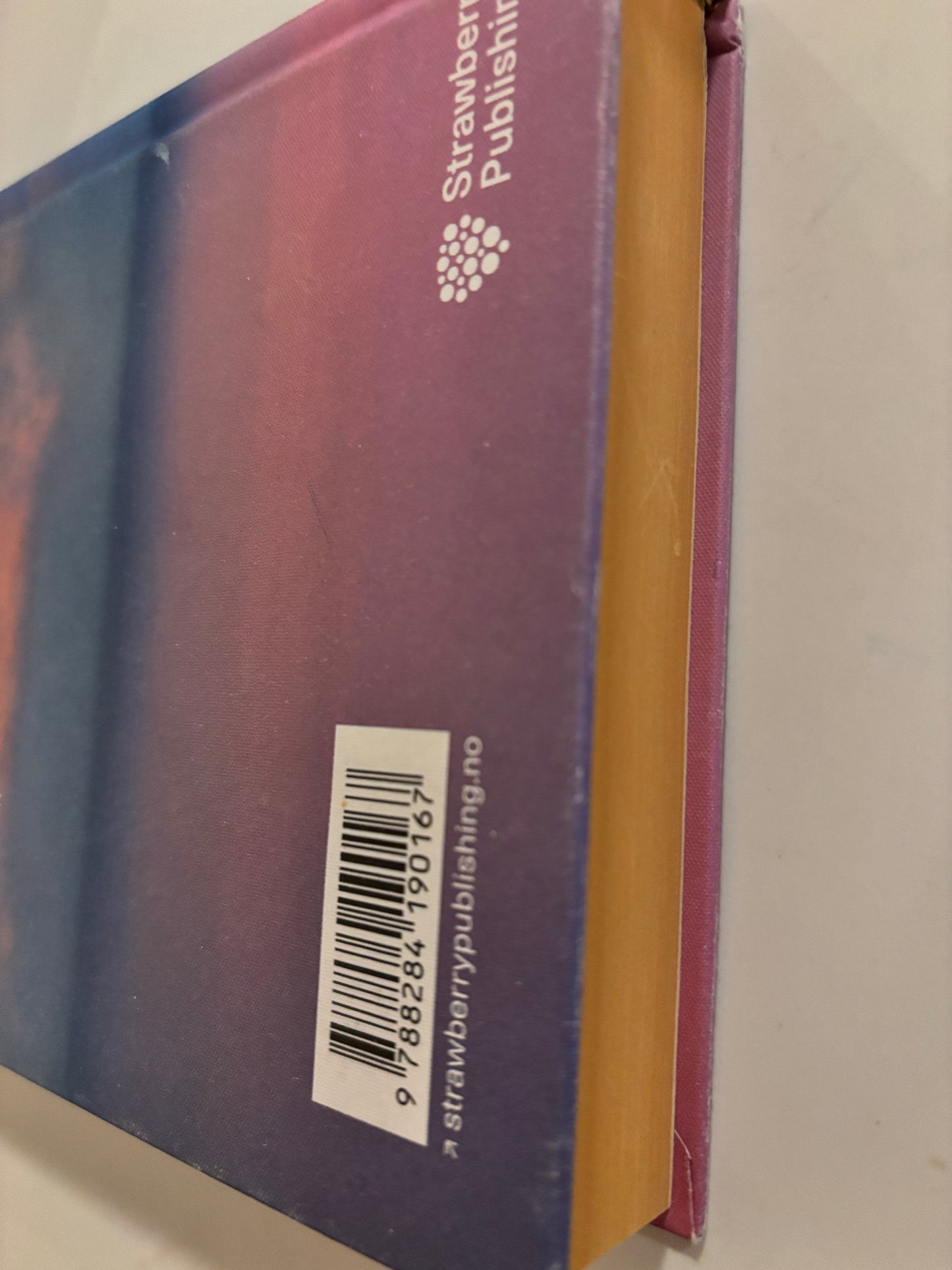 Sophie Elise: Ting jeg har lært