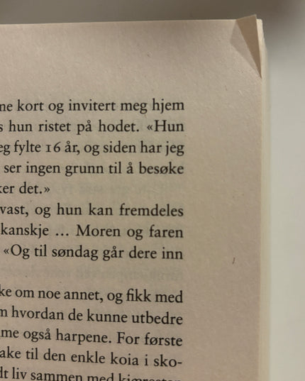 Brenden, Laila: Skygger under overflaten