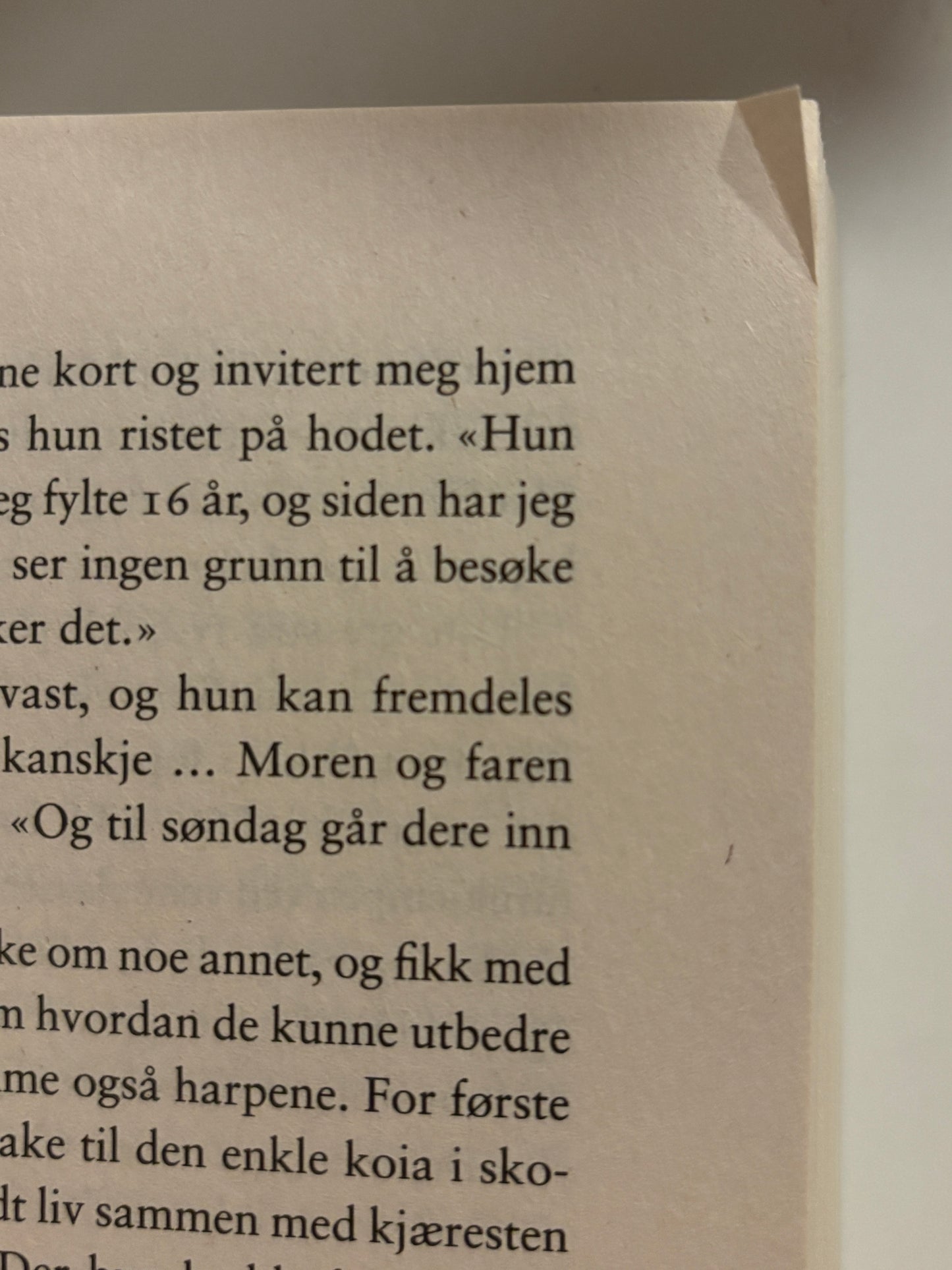 Brenden, Laila: Skygger under overflaten