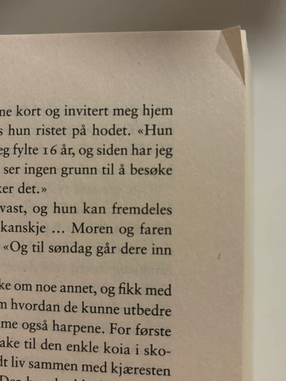 Brenden, Laila: Skygger under overflaten