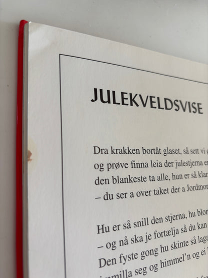 Året rundt med Sesam stasjon