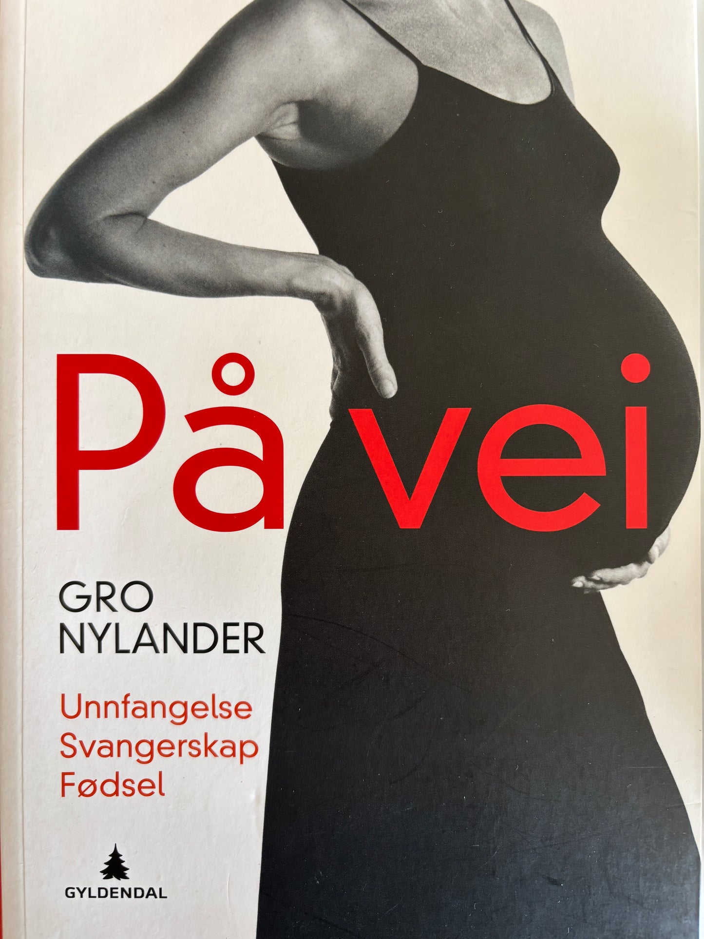 Nylander, Gro: På vei
