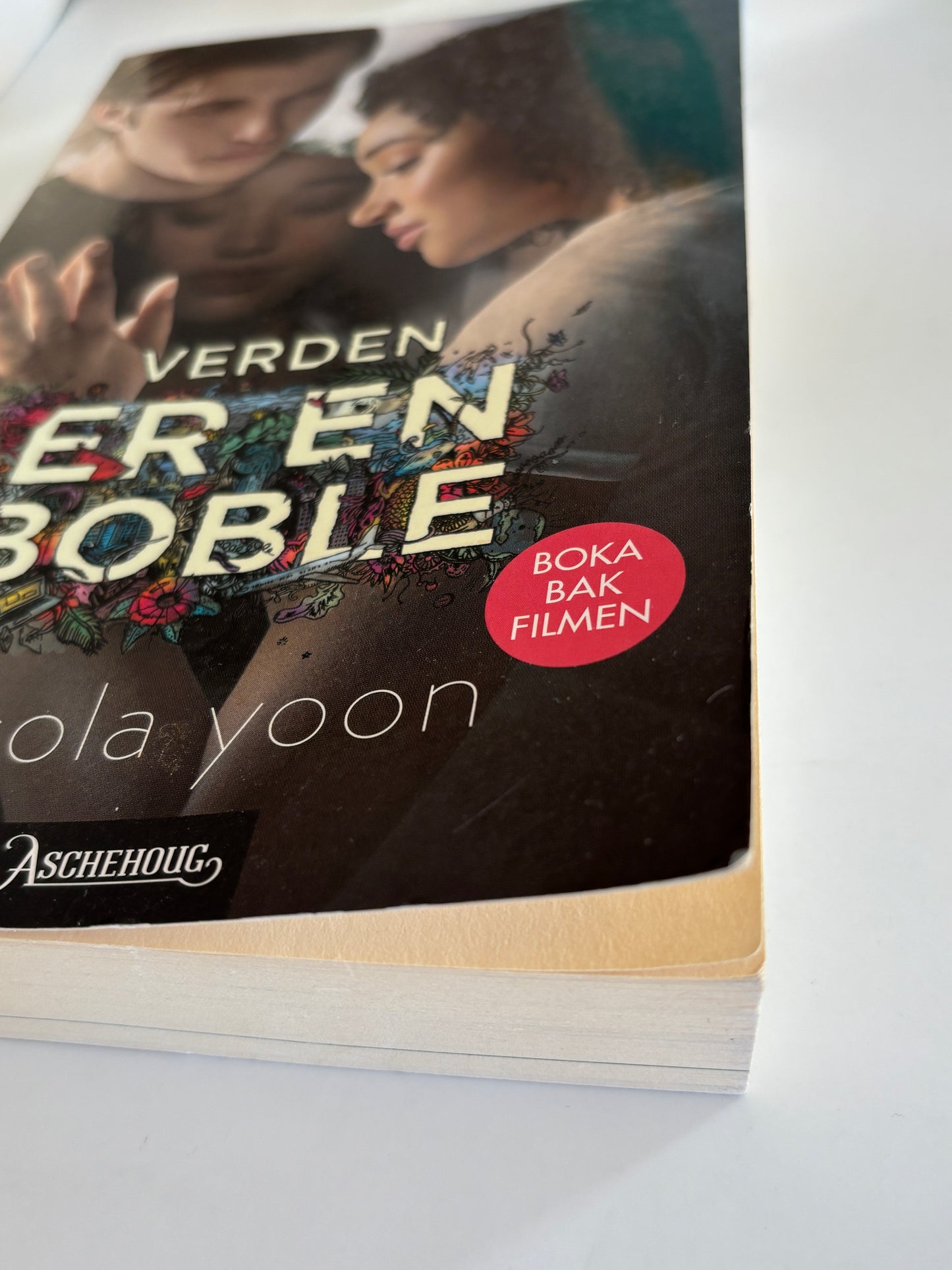 Yoon, Nicola: Verden er en boble
