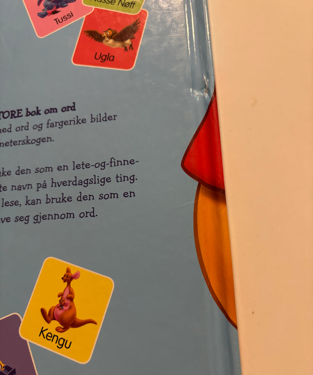 Disney - Ole Brumms store bok om ord
