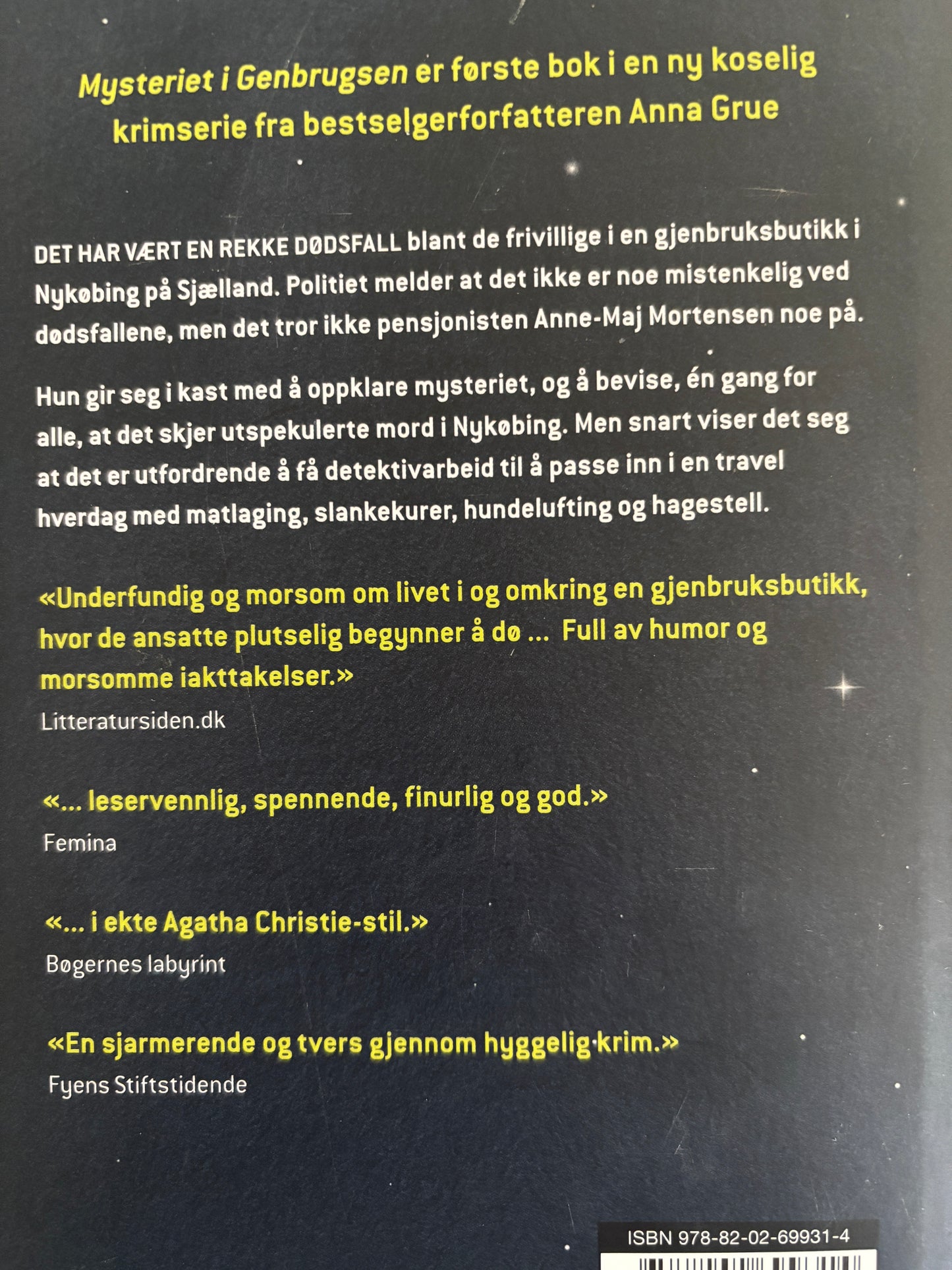 Grue, Anna: Mysteriet i Genbrugsen