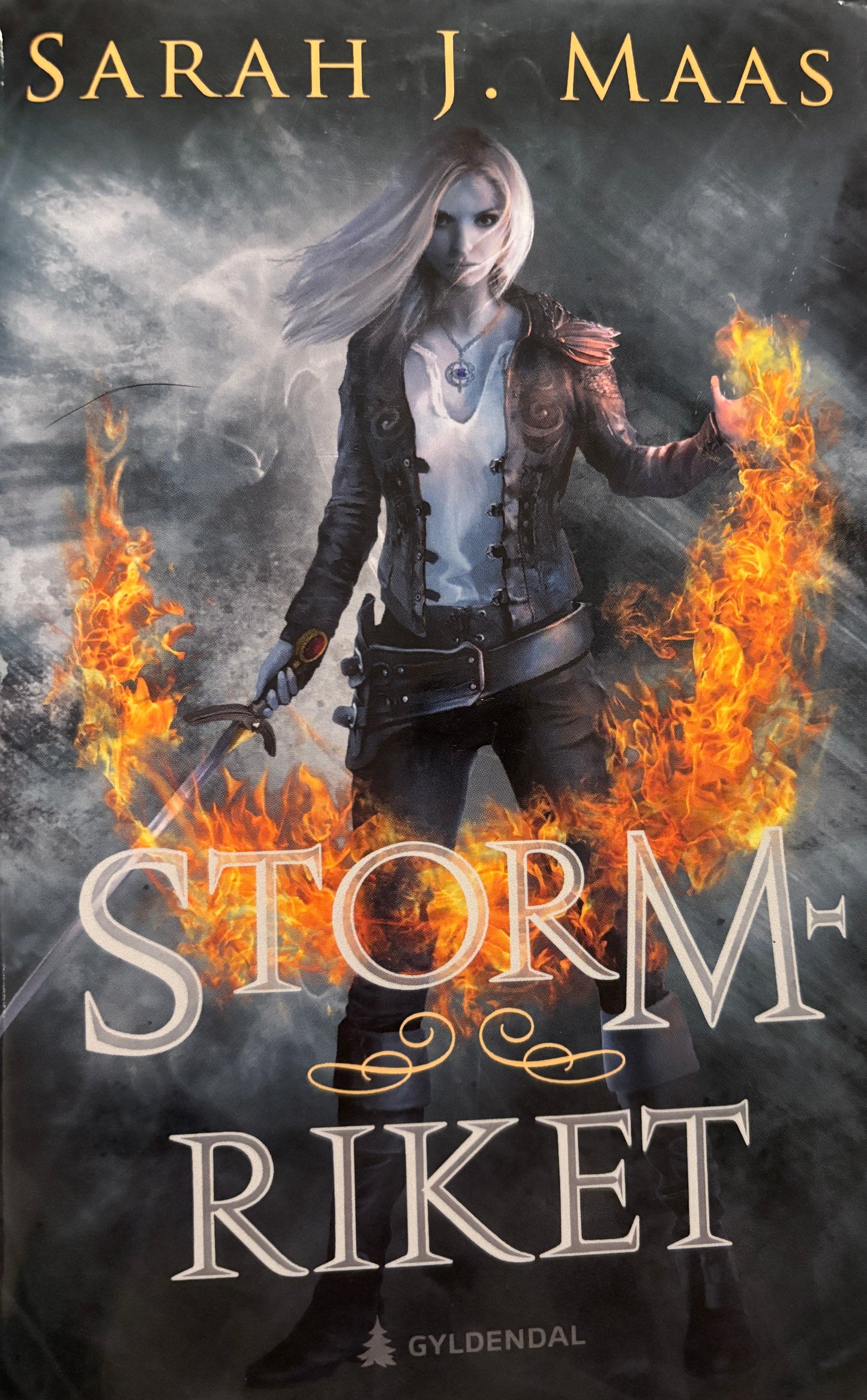 Maas, Sarah J: Stormriket