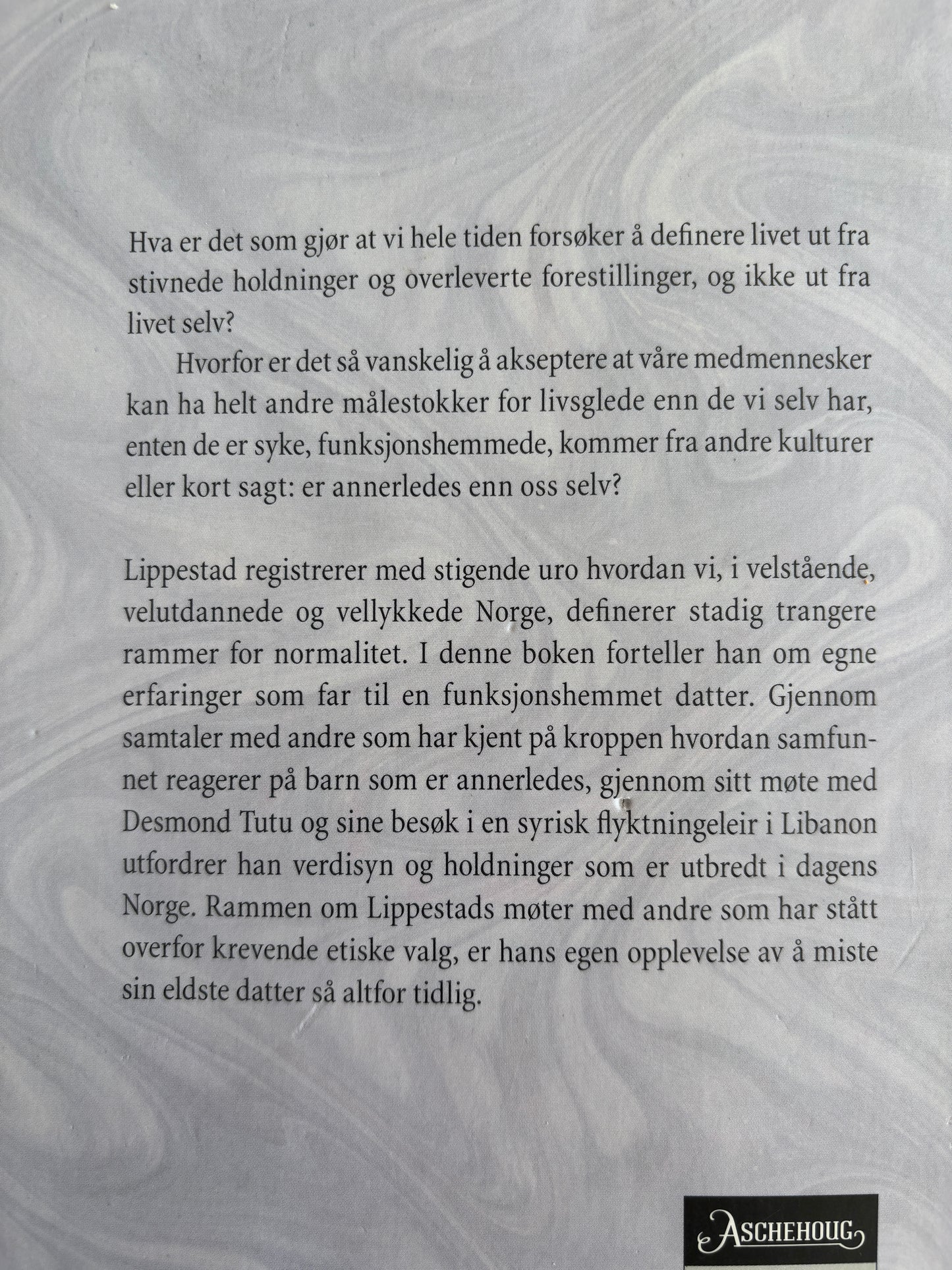 Lippestad, Geir: Et større vi