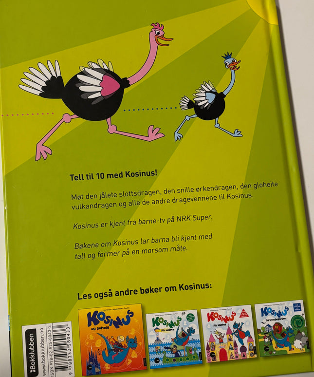 Hansen, Kari: Kosinus tellebok