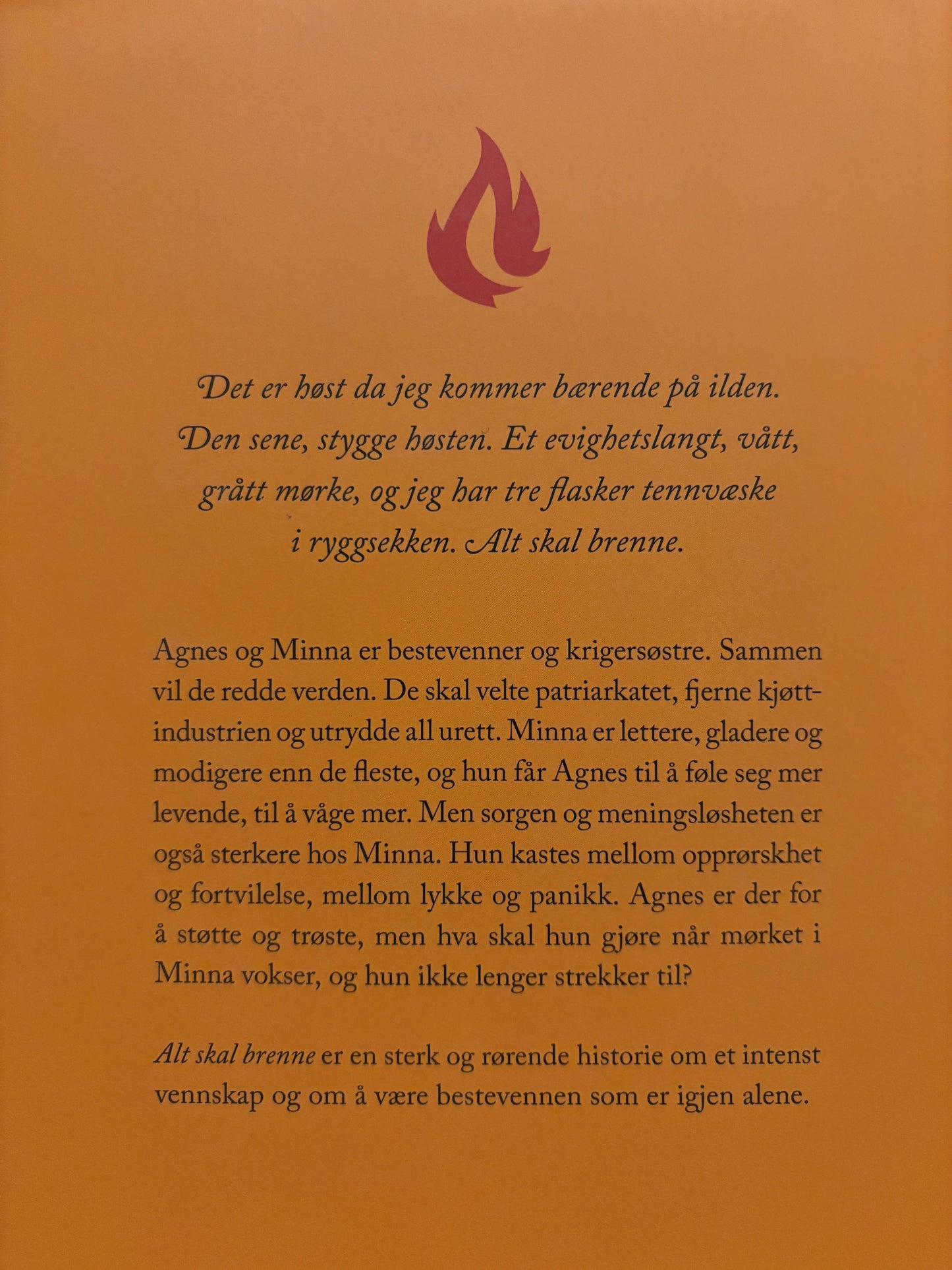 Nordin, Sofia: Alt skal brenne