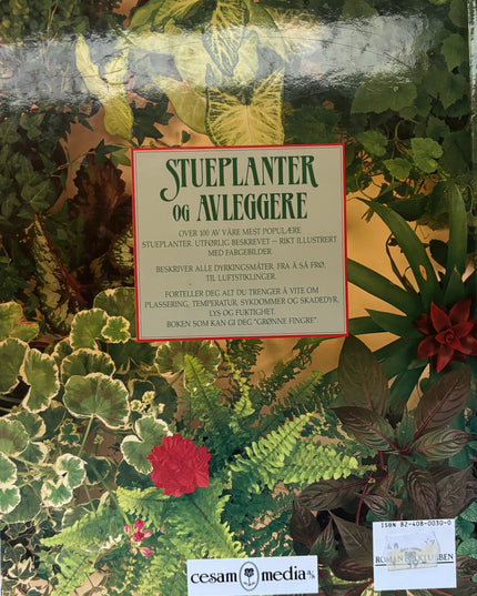 Stueplanter og avleggere
