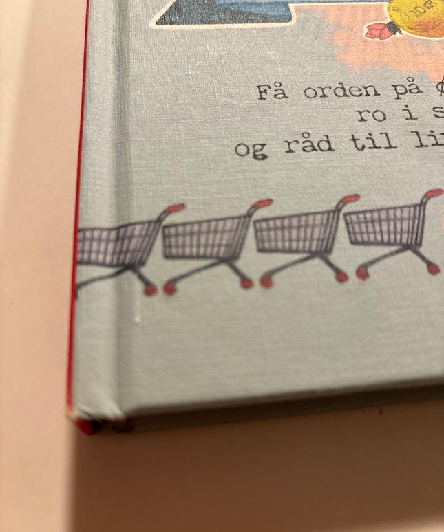 Olaussen, Marie: Hvordan bli rik på et år