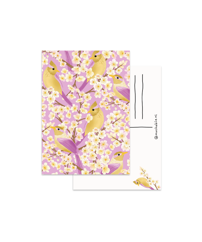 Postkort | Fugler og Blomster | A6