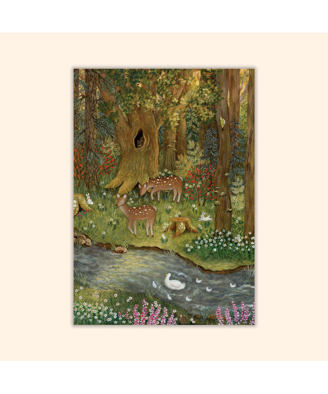 Postkort | Enchanting Forest