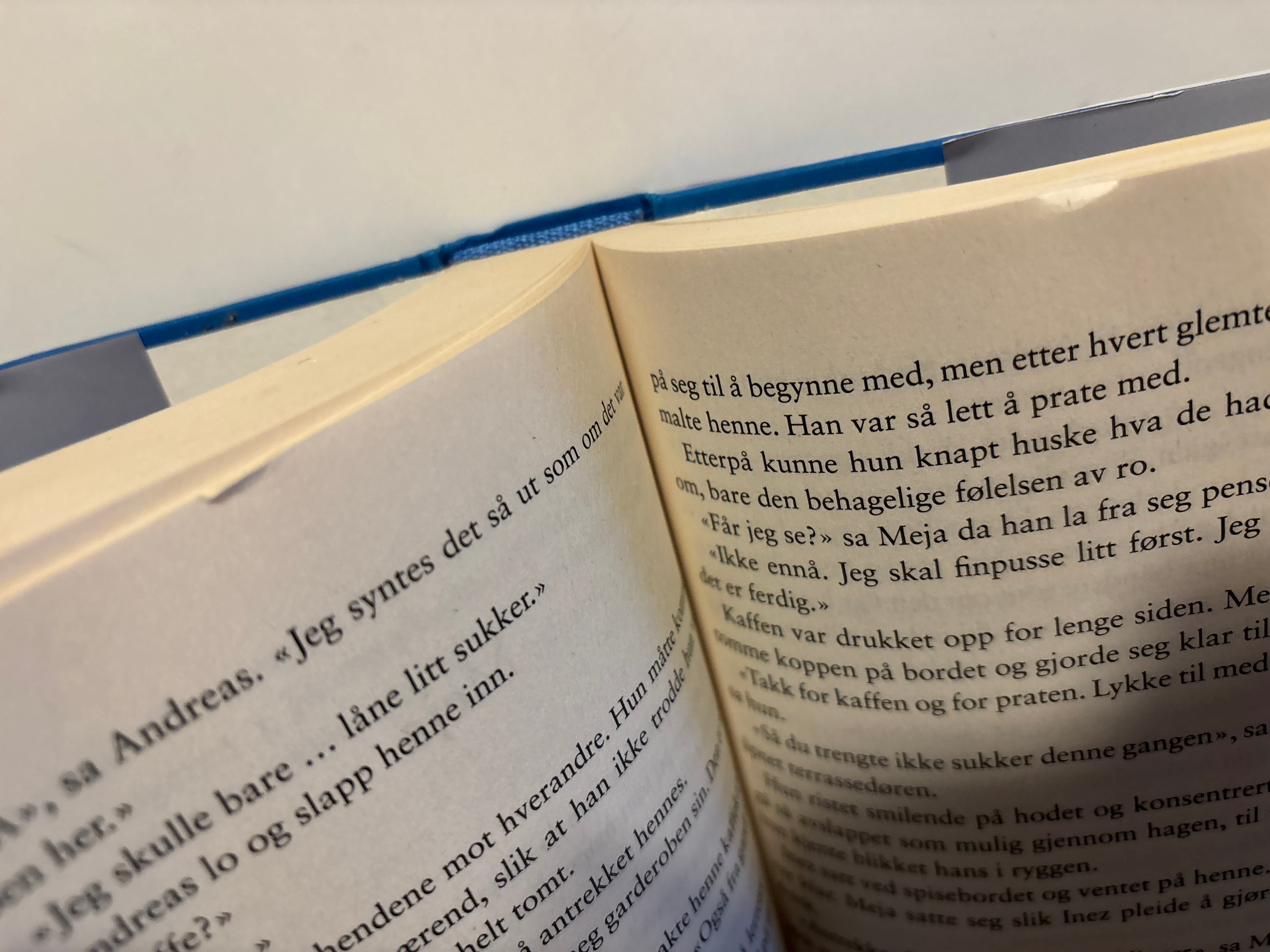 Safstrand, Caroline: Sannheten om Østersjenta