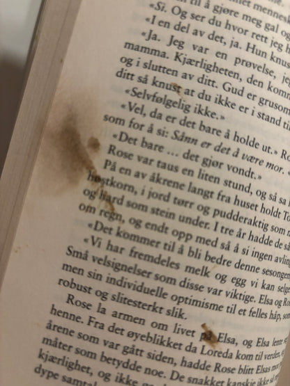 Hannah, Kristin: For alle vinder