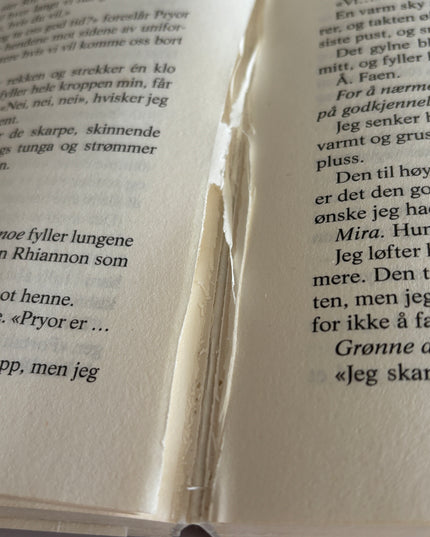 Yarros, Rebecca: Fjerde ving