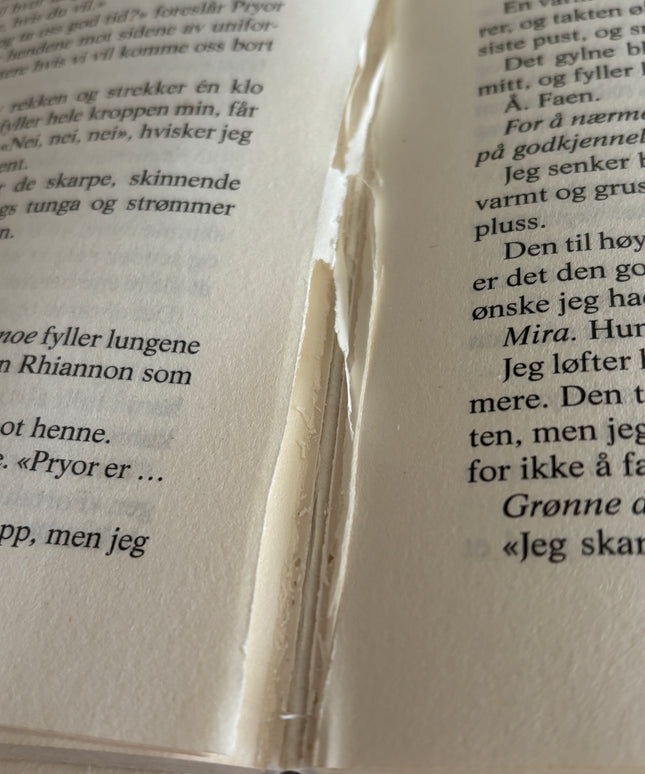 Yarros, Rebecca: Fjerde ving