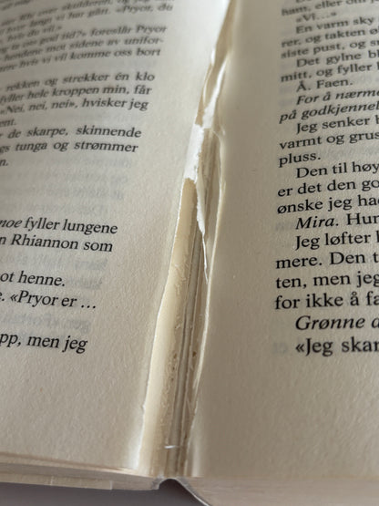 Yarros, Rebecca: Fjerde ving