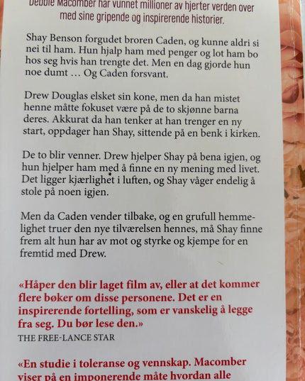 Macomber, Debbie: En lysere fremtid