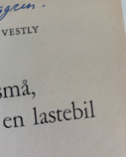Åtte små, to store og en lastebil - Anne-Cath Vestly